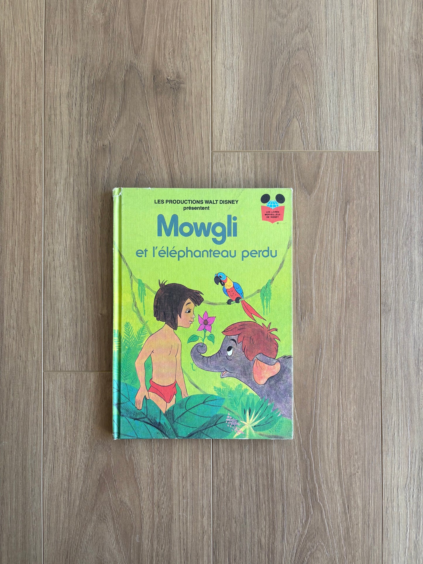 *Leger imparfait* Mowgli et l’éléphanteau perdu