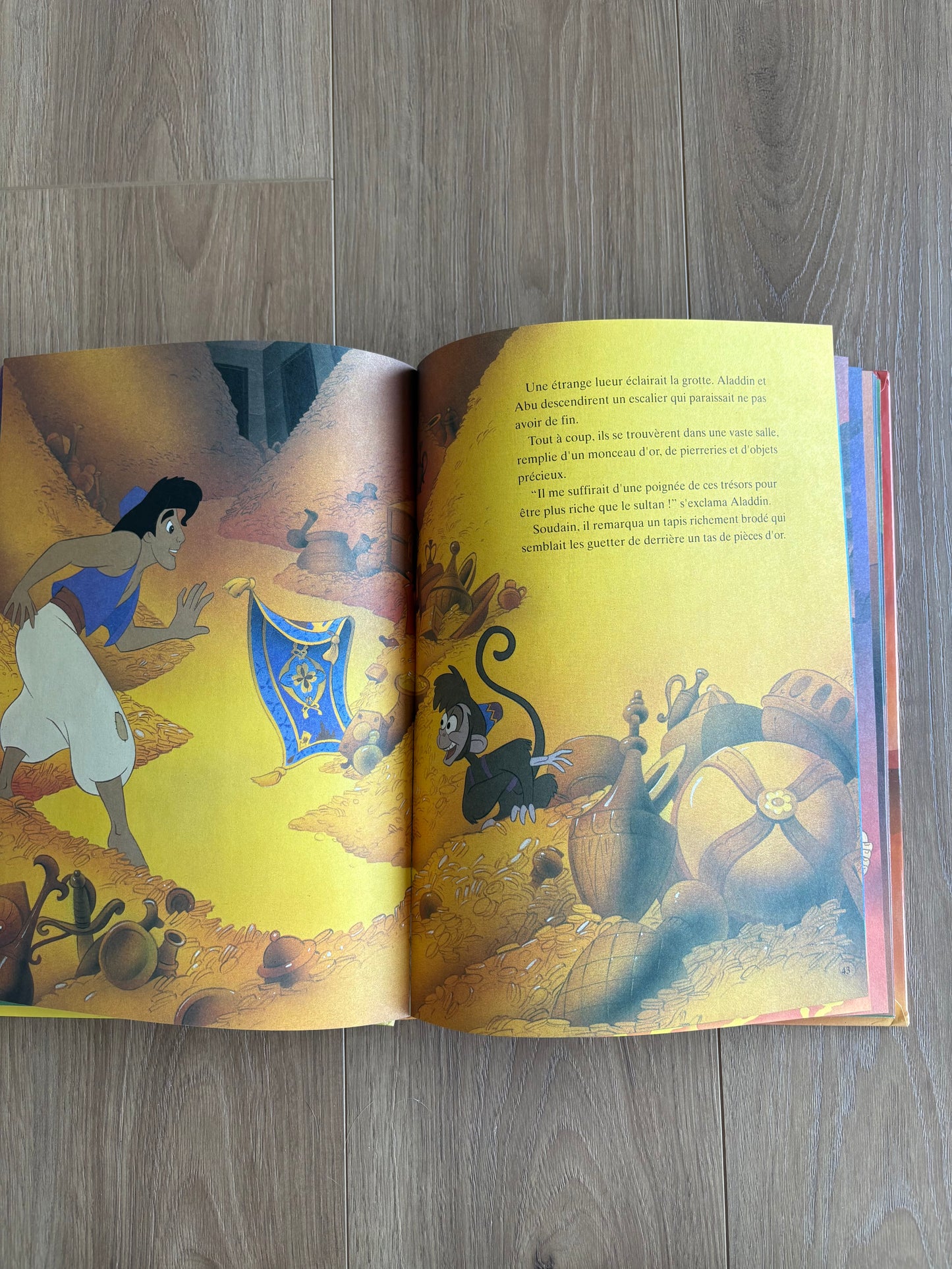 Aladin (grand livre)