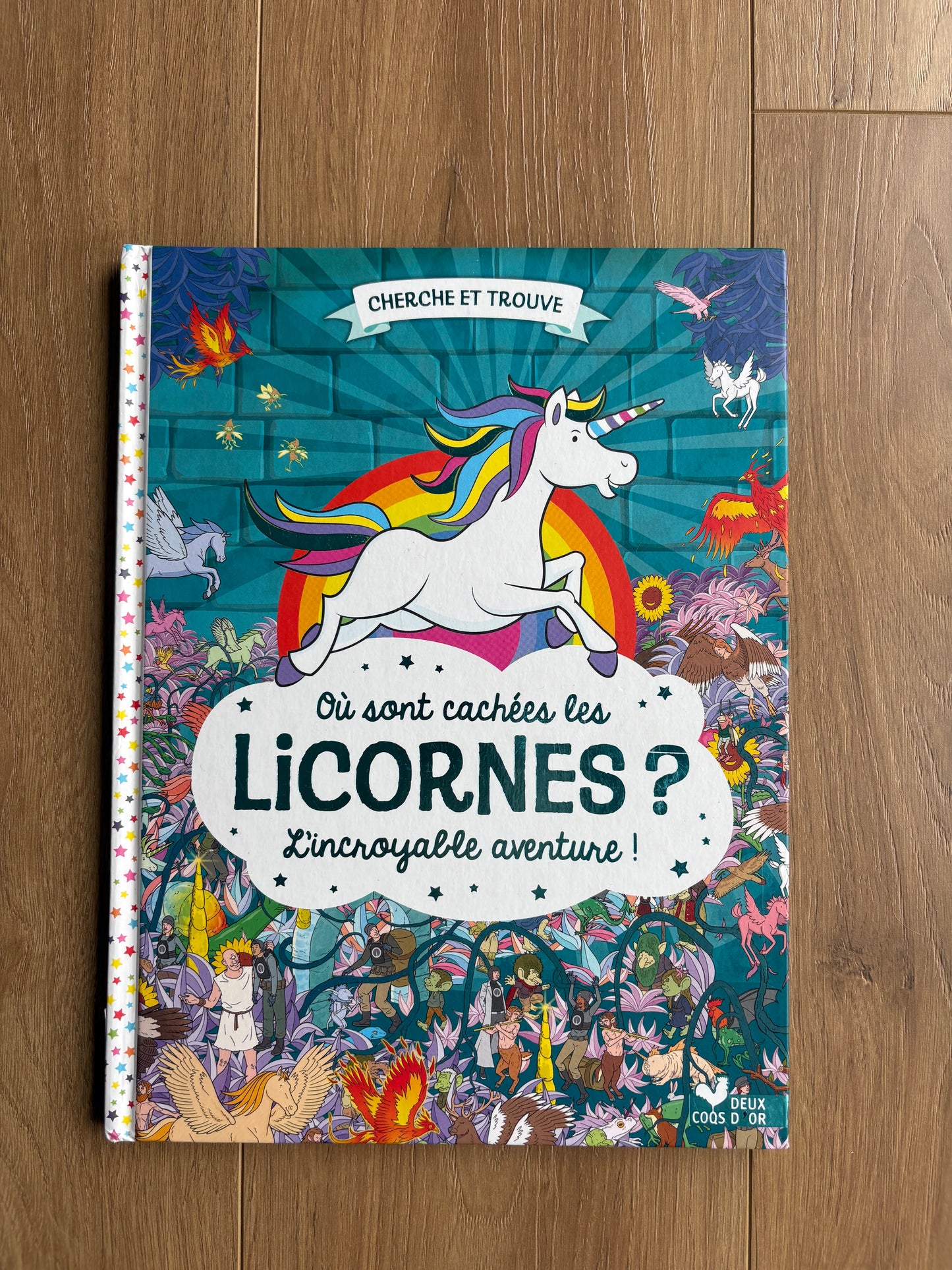 Cherche et trouve - Où sont cachées les licornes ? L’incroyable aventure
