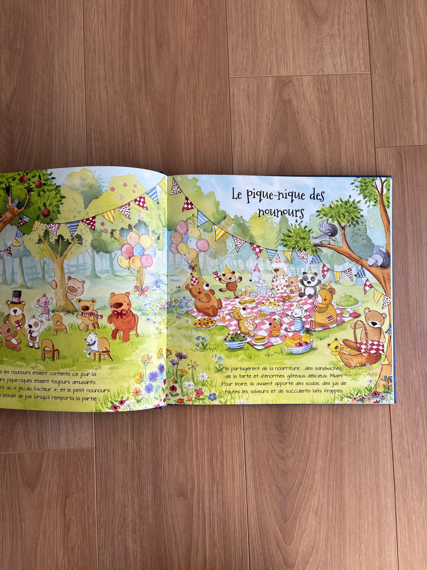 Mes merveilleuses histoires de nounours