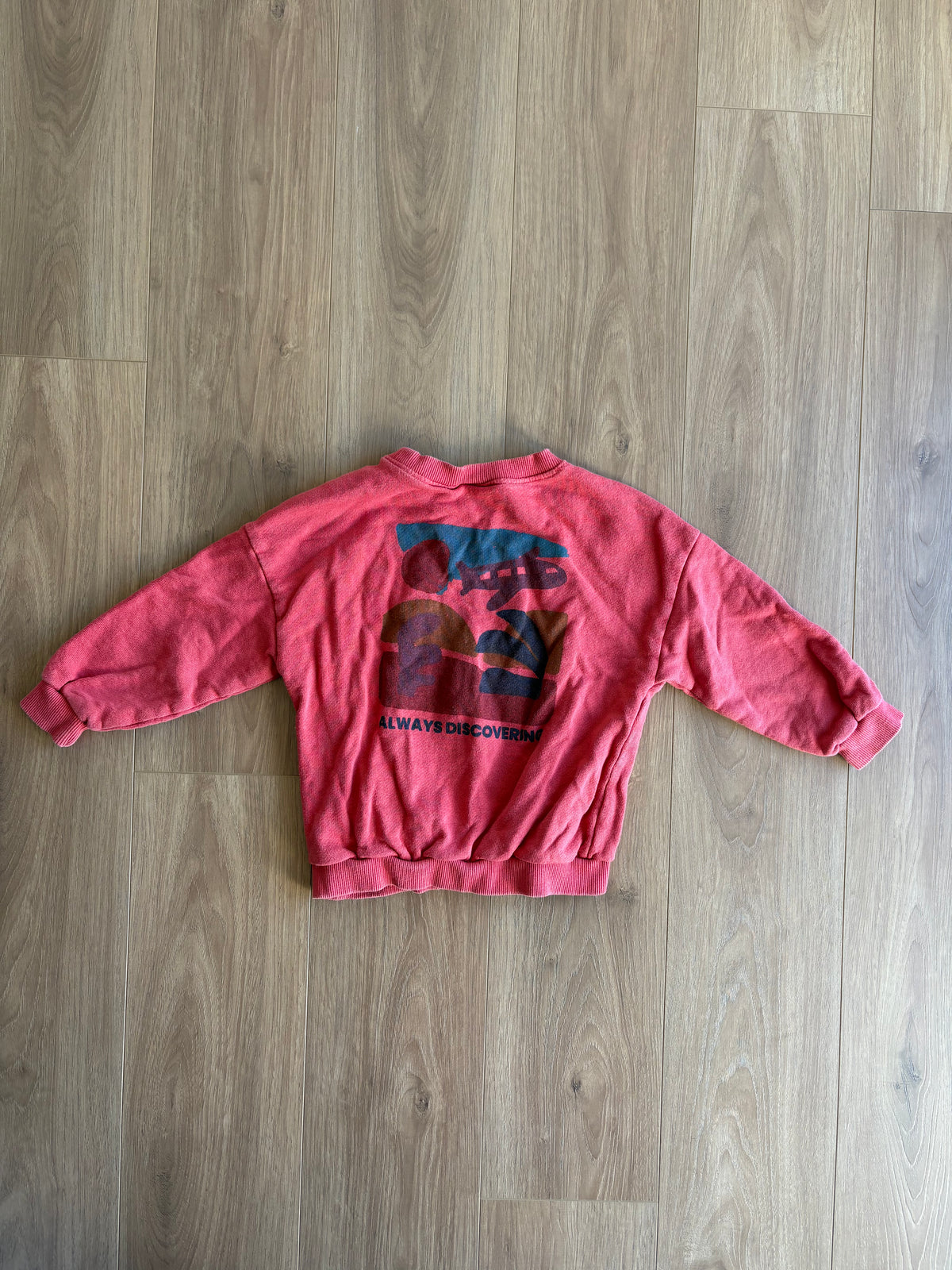 Crewneck - Zara - 3/4 ans (voir le dos)