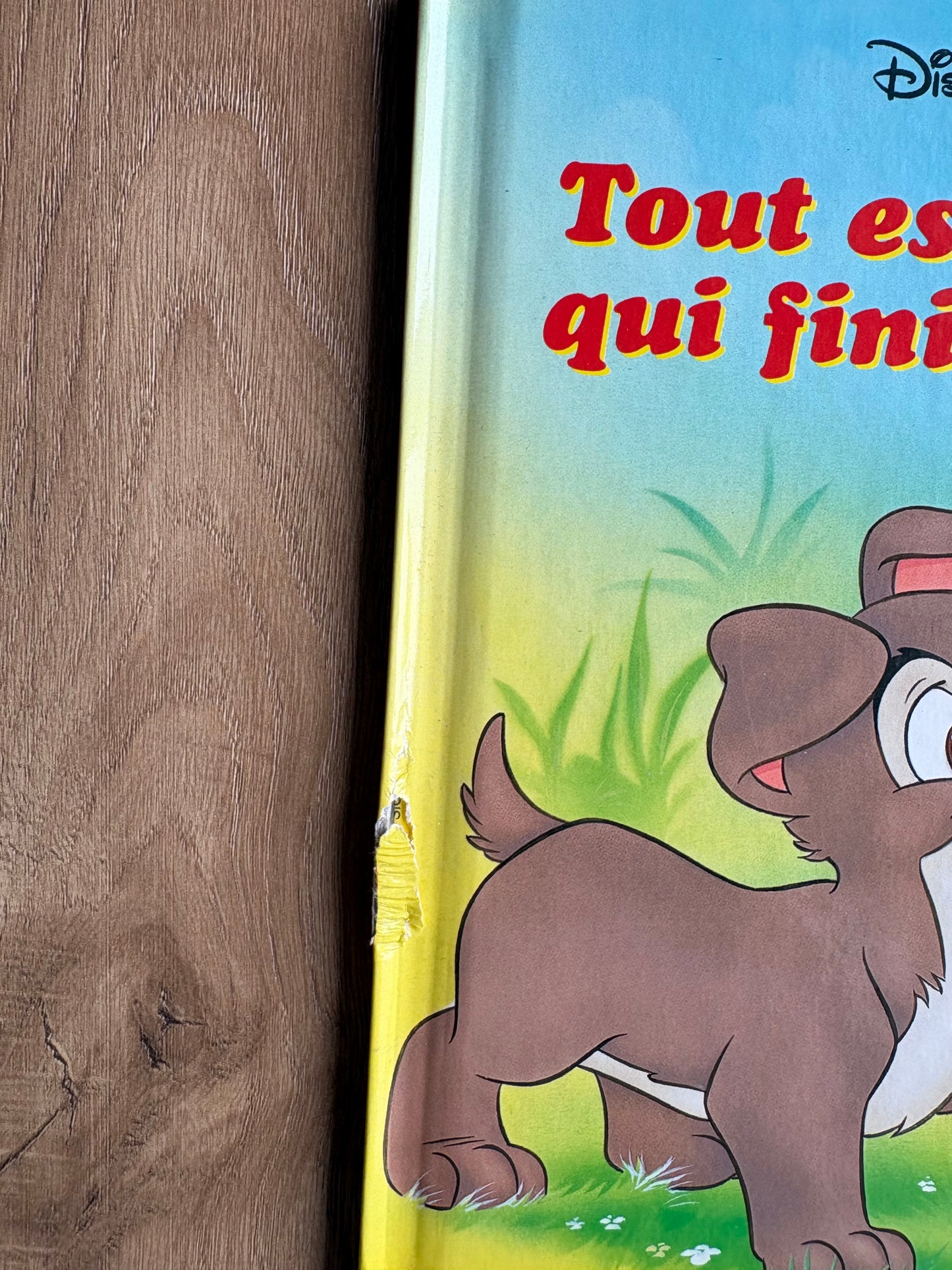 *Imparfait* Tout est bien qui finit bien