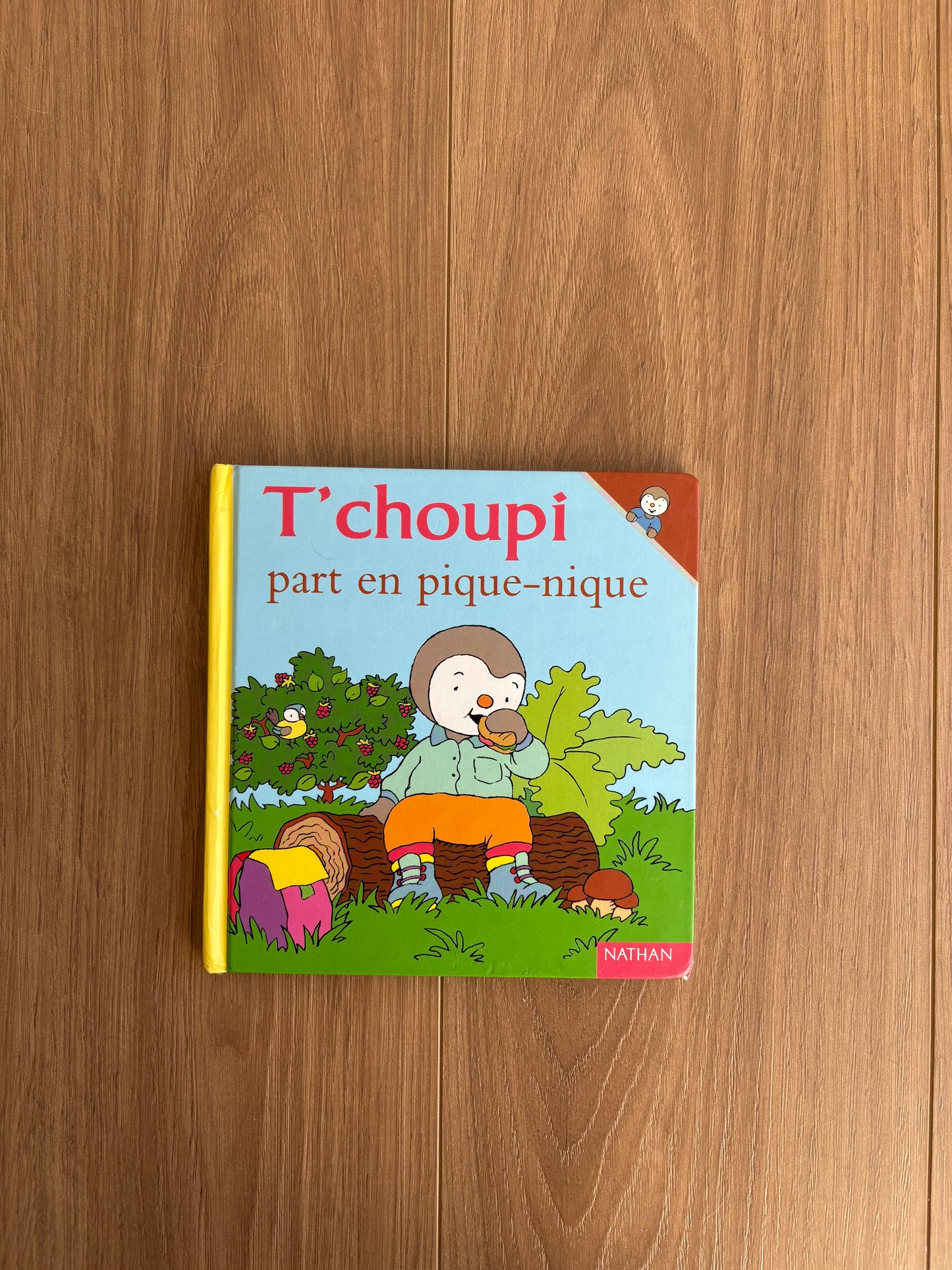 T’choupi part en pique-nique