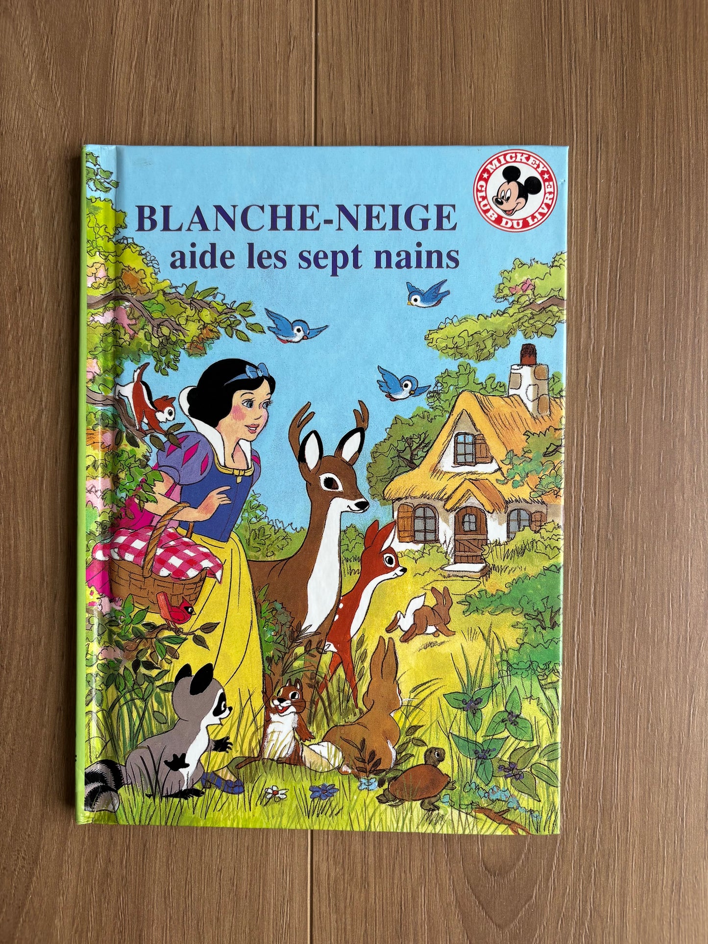 Blanche-neige aide les sept nains