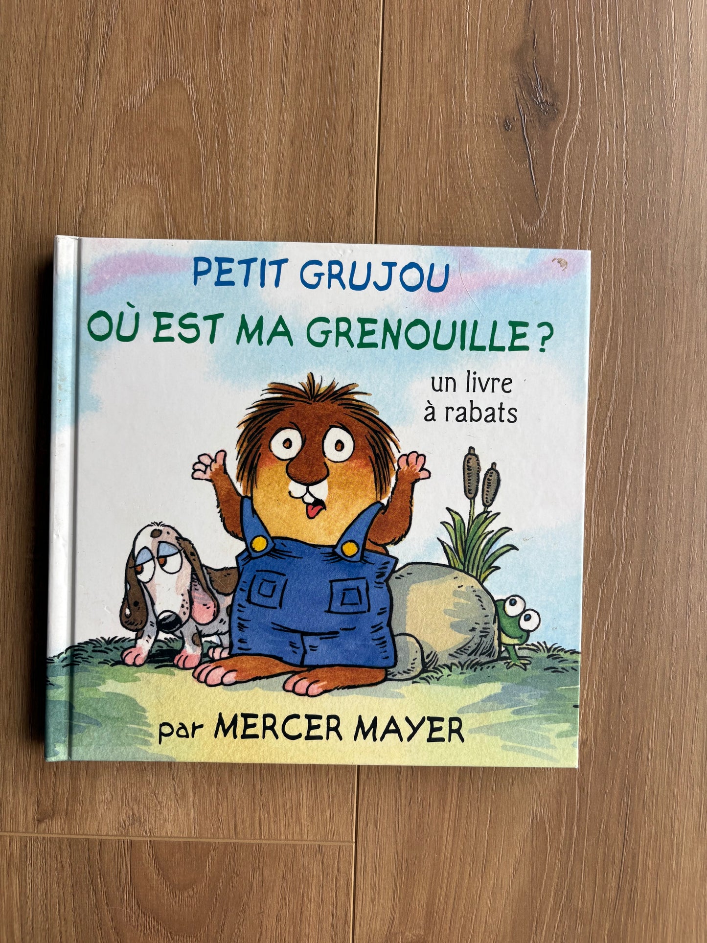 Où est ma grenouille