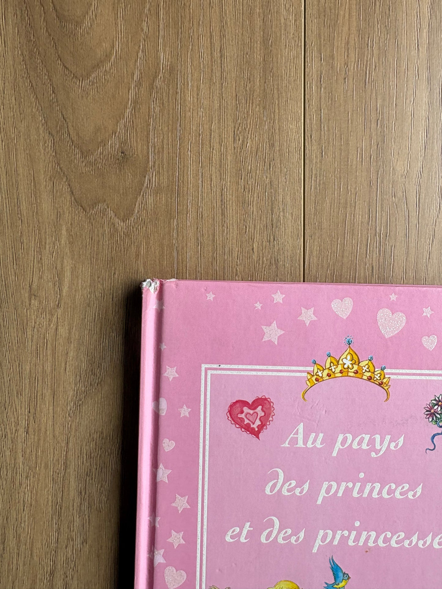 *leger imperfection* Au pays des princes et des princesses