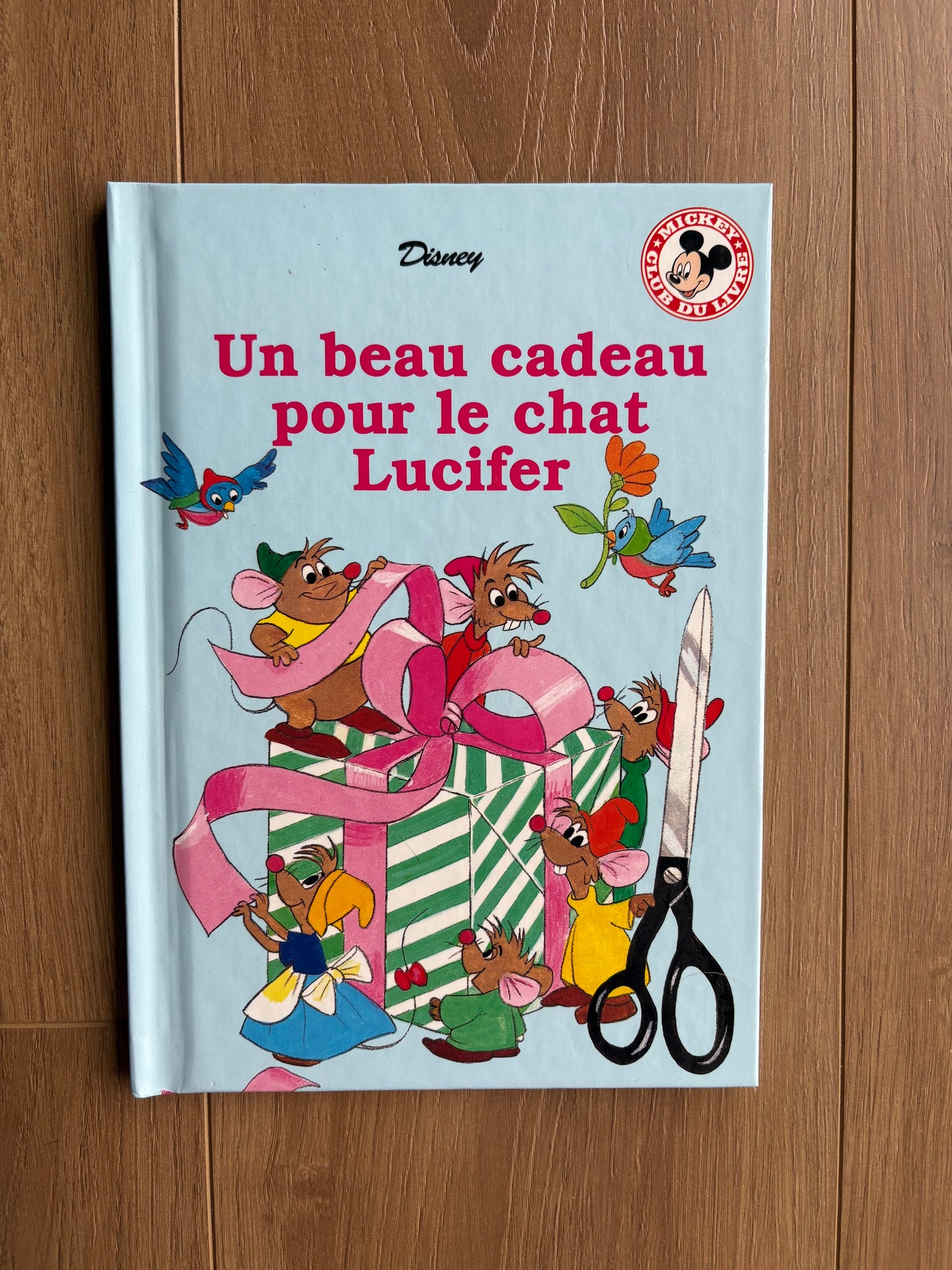 Un beau cadeau pour le chat Lucifer