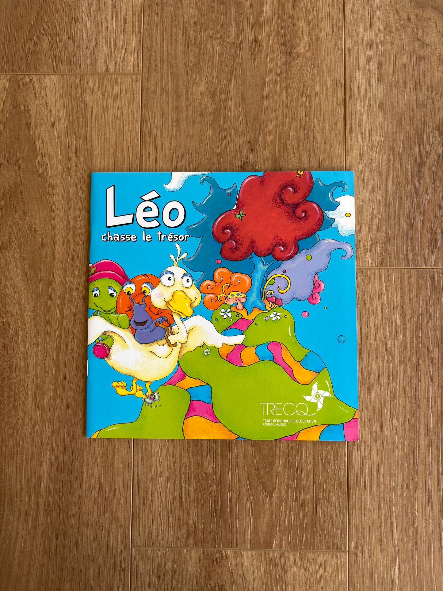 Léo chasse le trésor