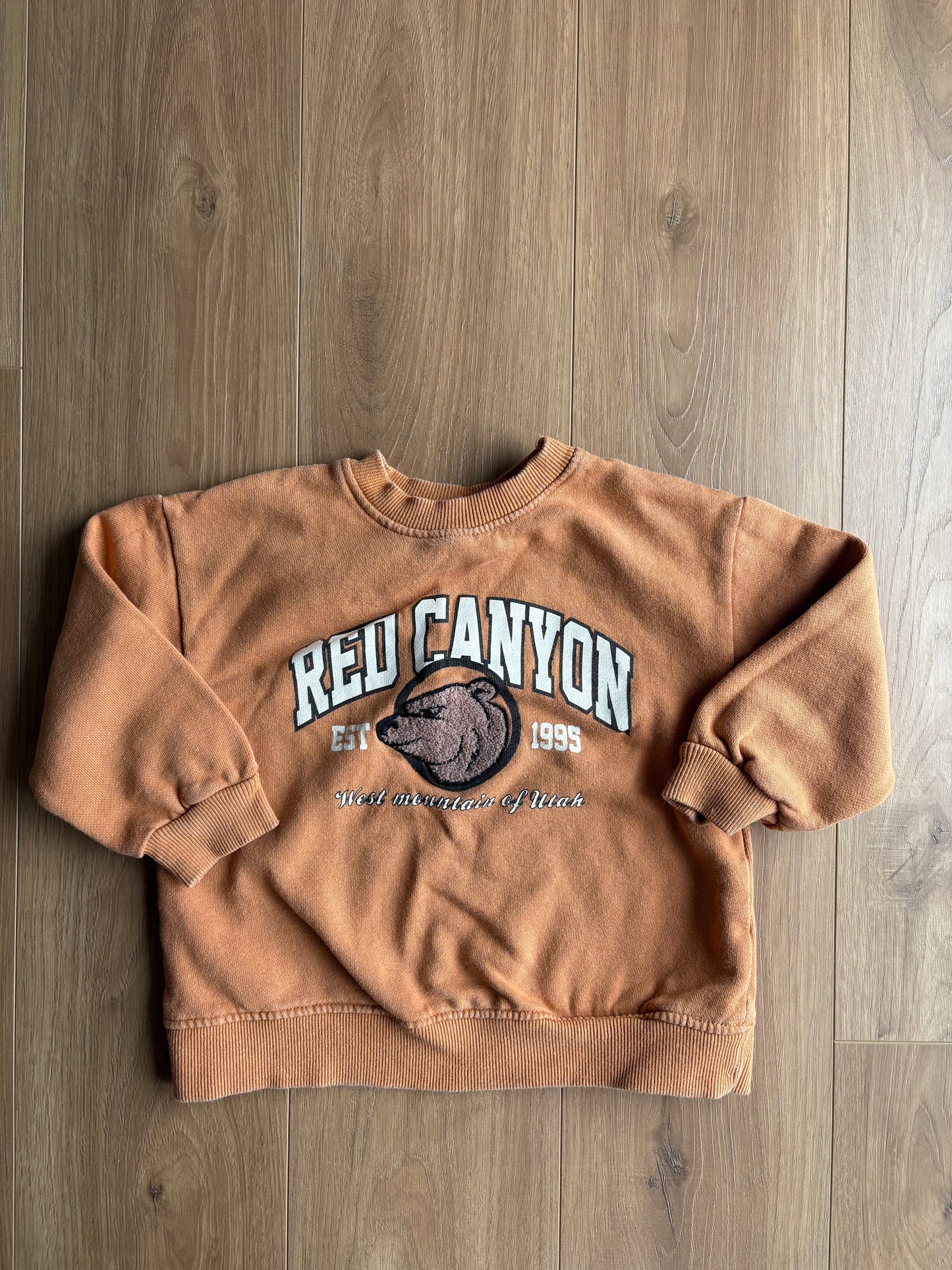 Crewneck - Zara - 2/3 ans