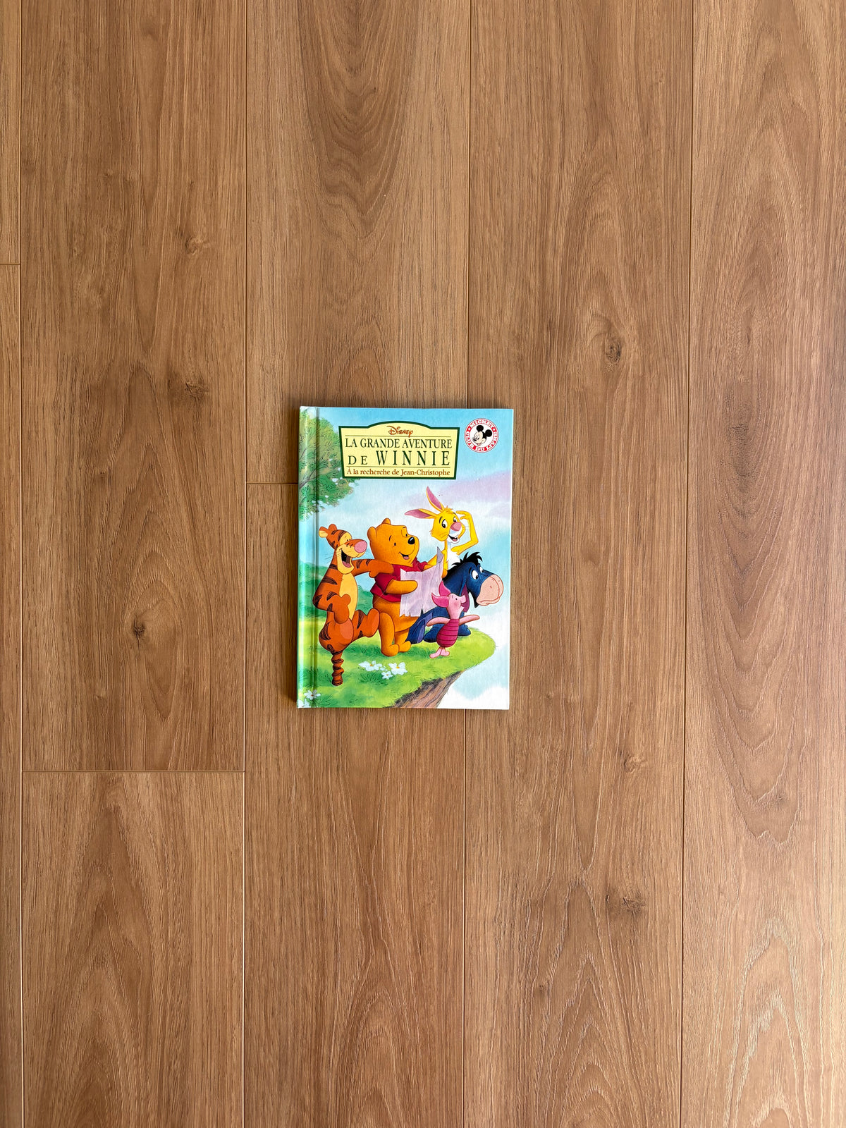 La grande aventure de Winnie