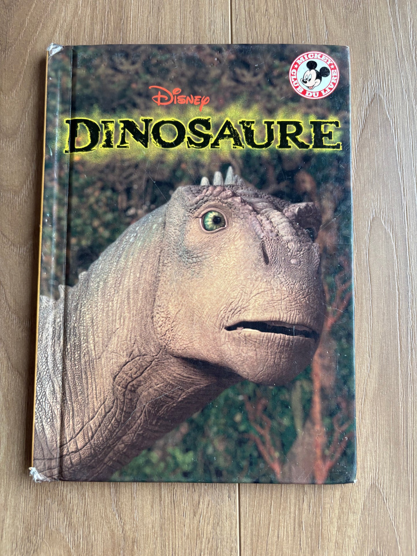 *Imparfait* Dinosaure