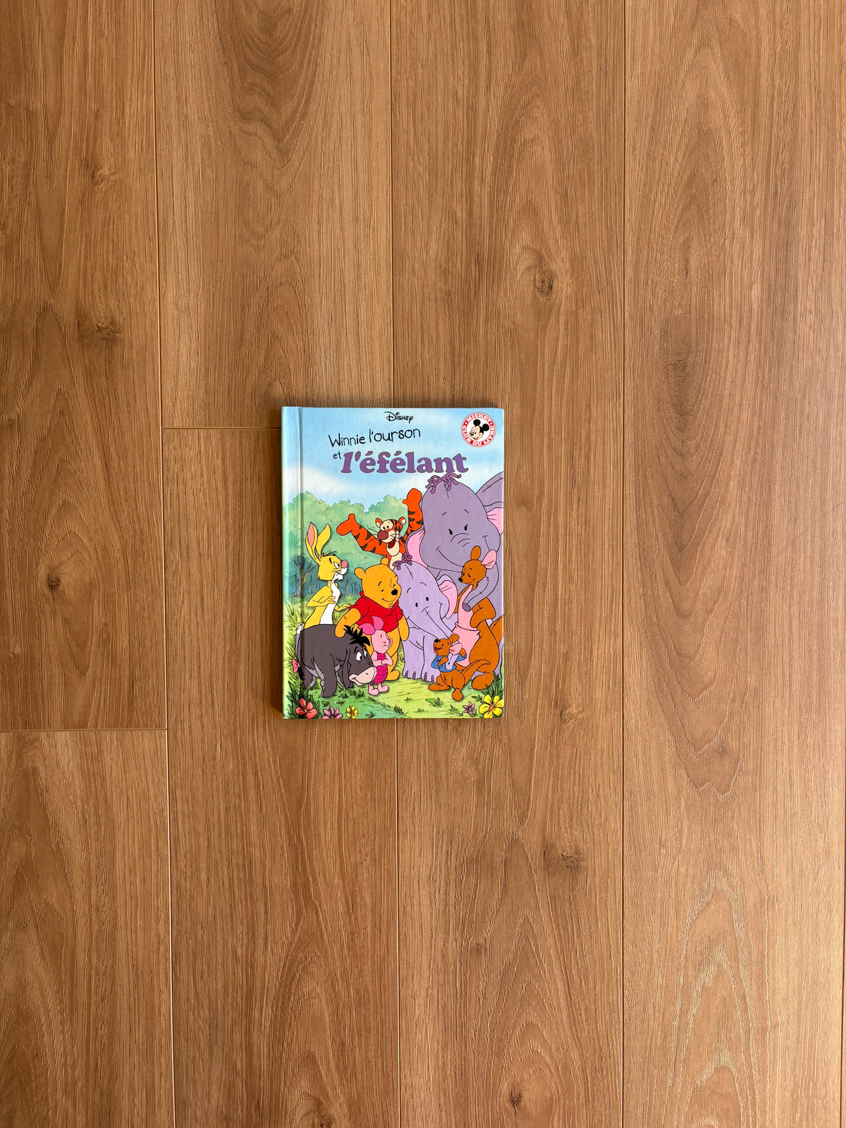 Winnie l’ourson & l’éfélant