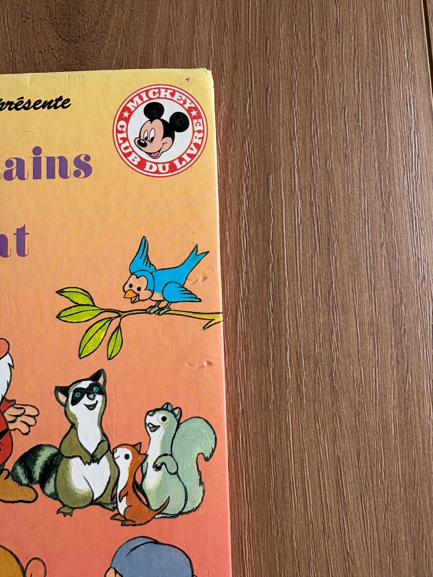 *Petite imperfection* Les septs nains et le diamant