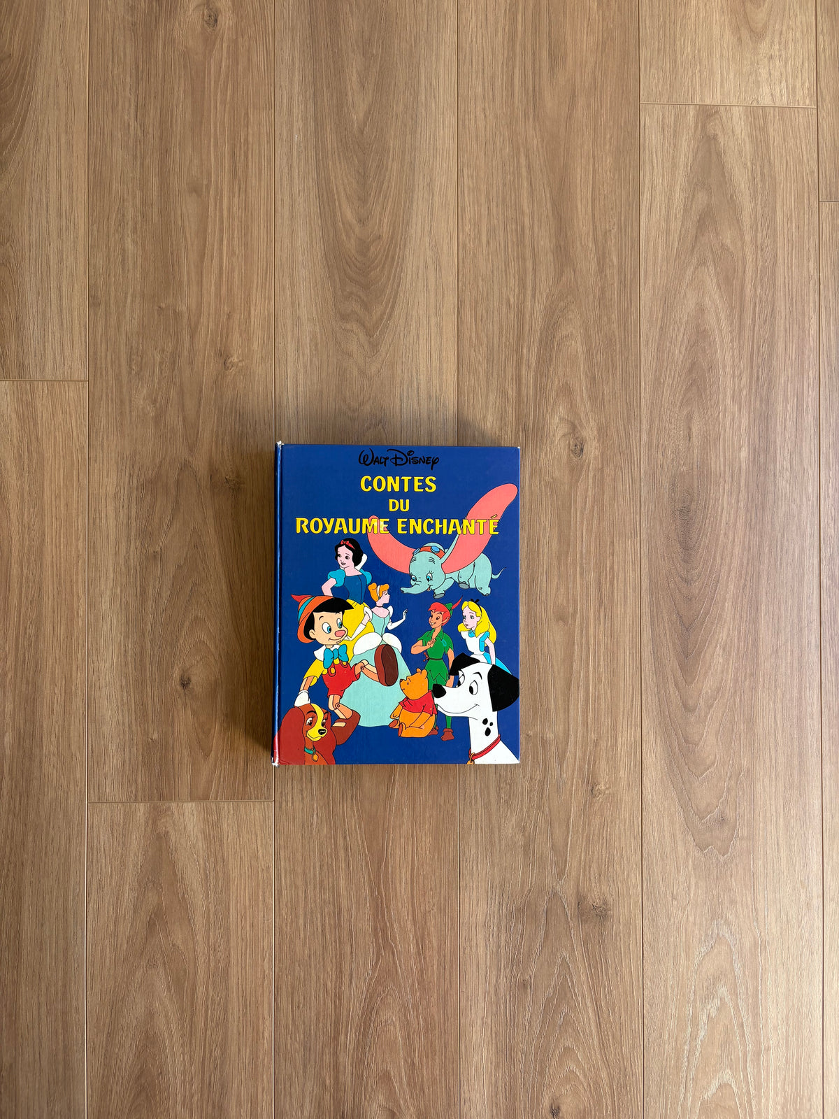 *Leger imparfait couverture* Contes du royaume enchanté (299 pages, 9 histoires)
