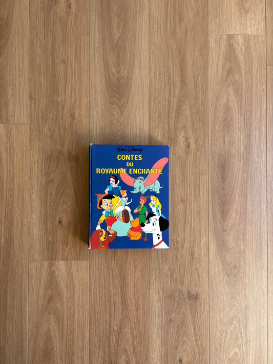 *Leger imparfait couverture* Contes du royaume enchanté (299 pages, 9 histoires)