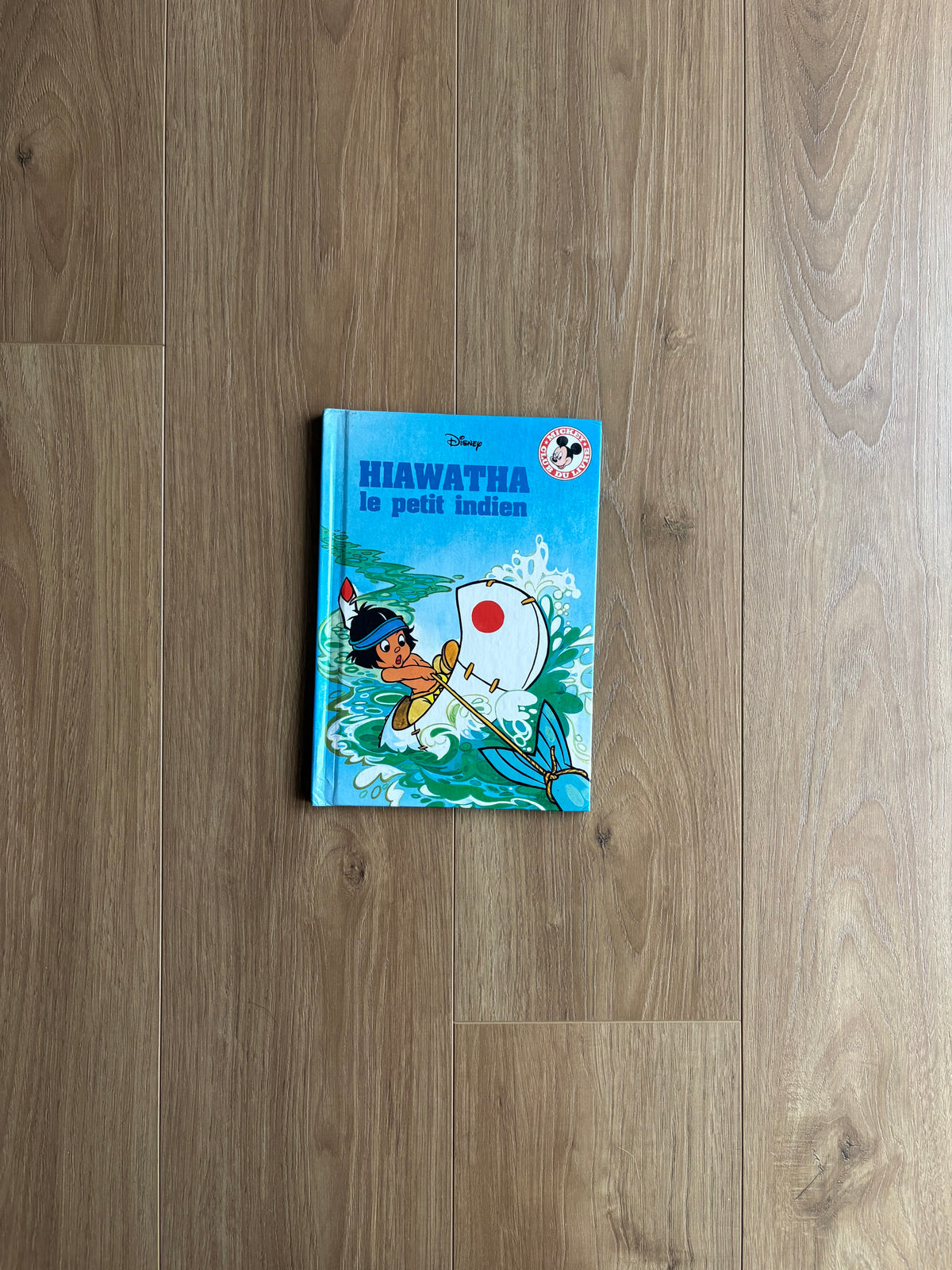 Hiawatha le petit indien