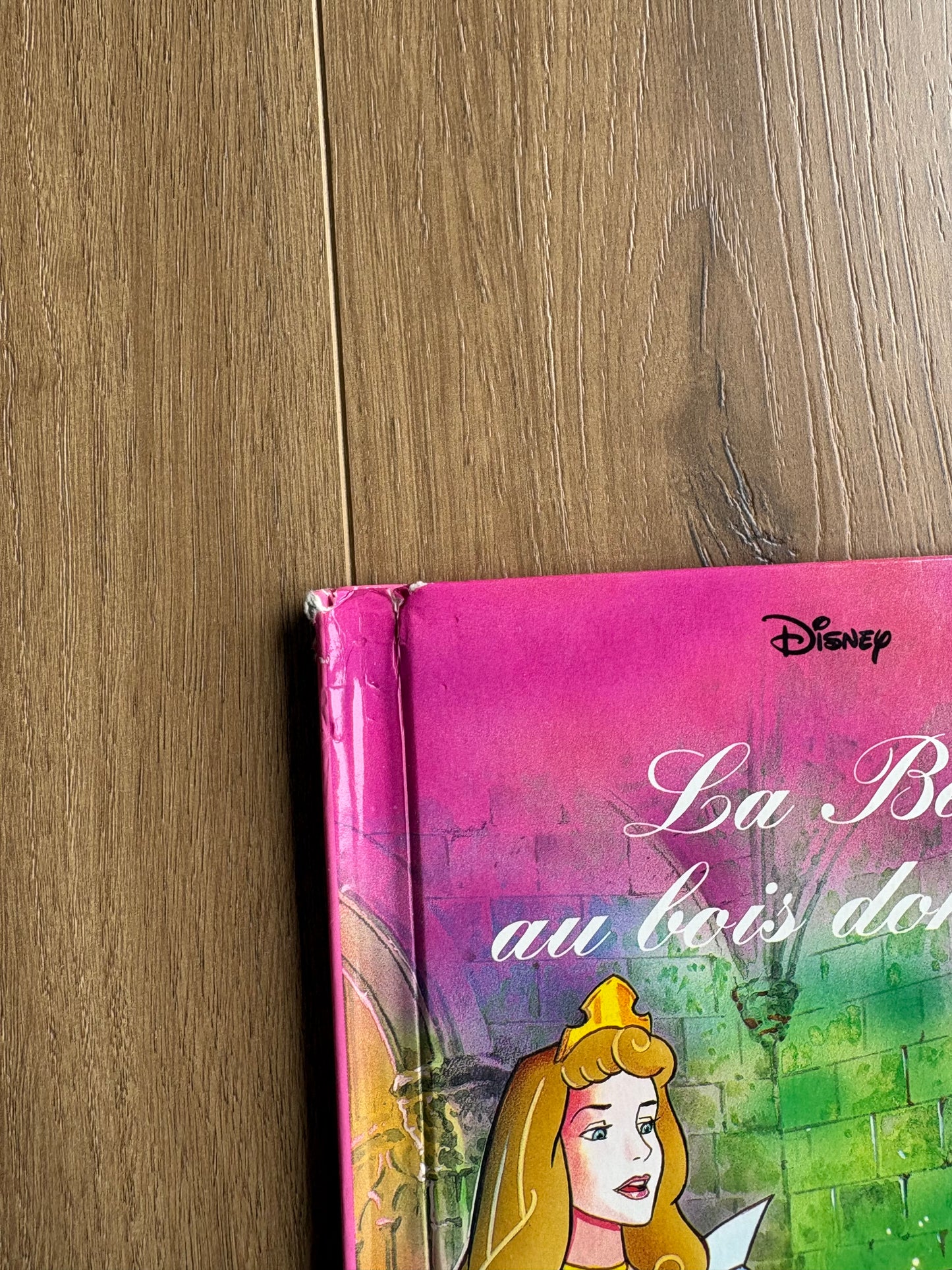 *Imparfait* La belle au bois dormant