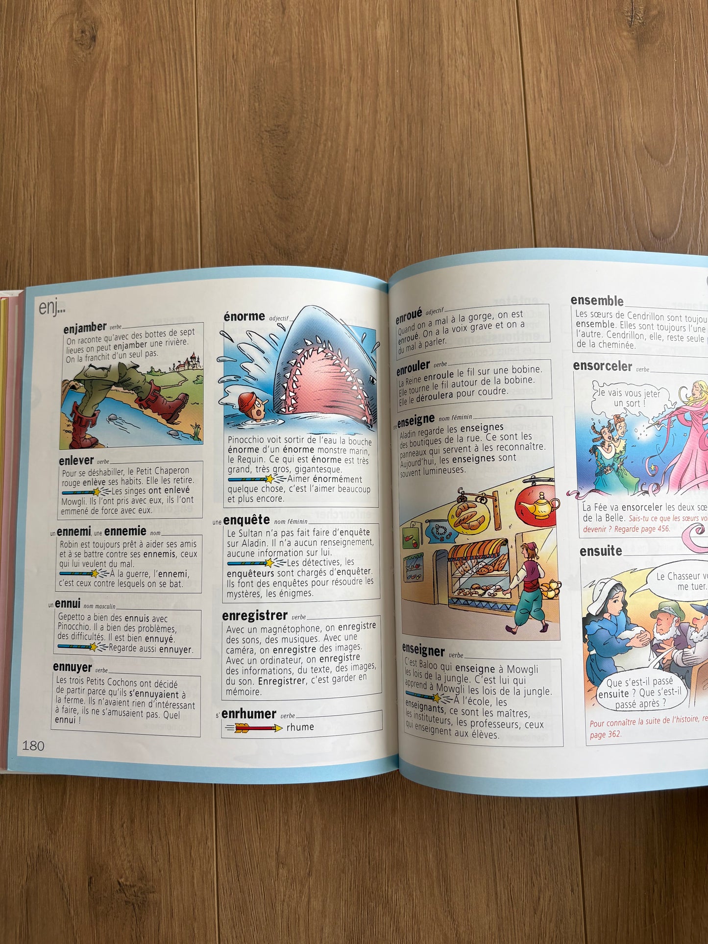 Premier dictionnaire - Le petit fleurus