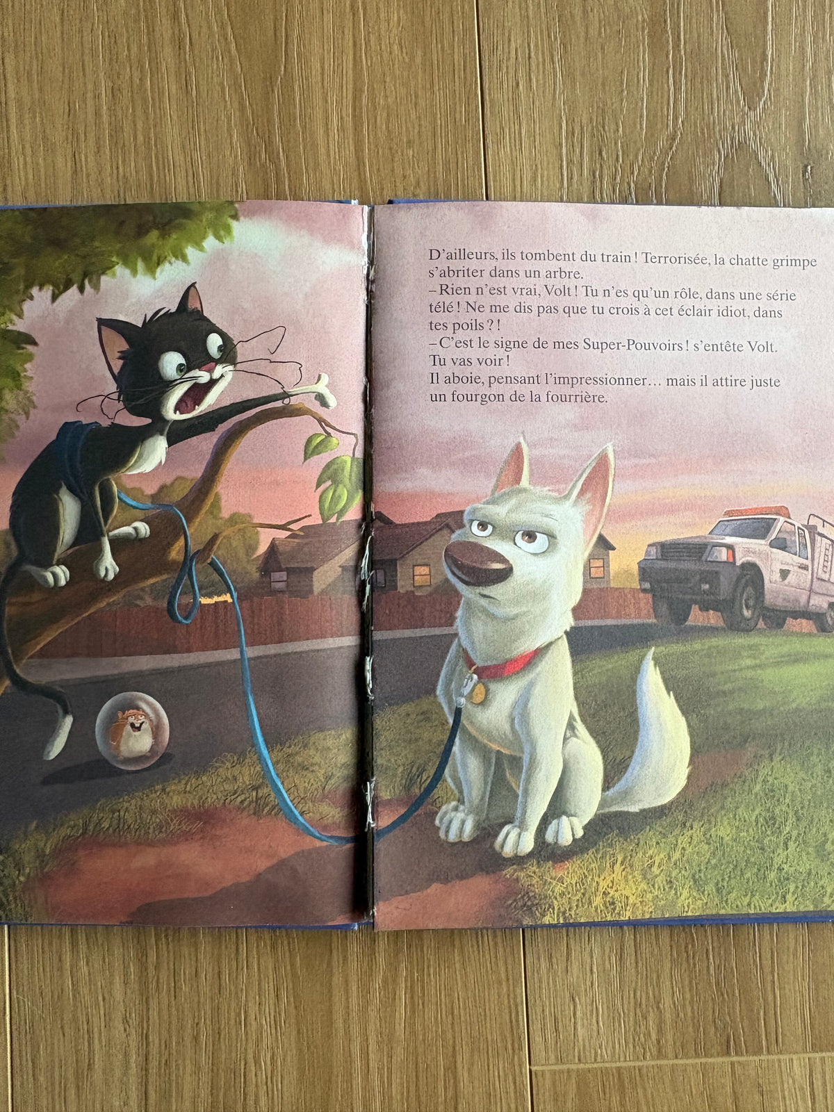 *Imparfait* Les classiques Disney - Volt, 95 pages