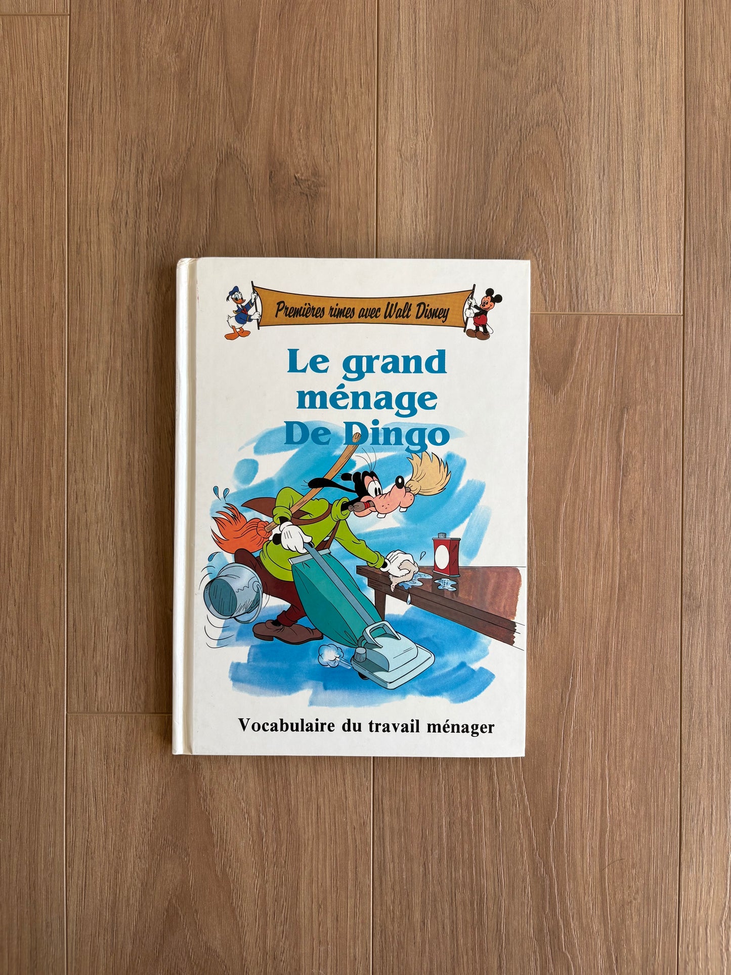 *Vintage* Le grand ménage de Dingo