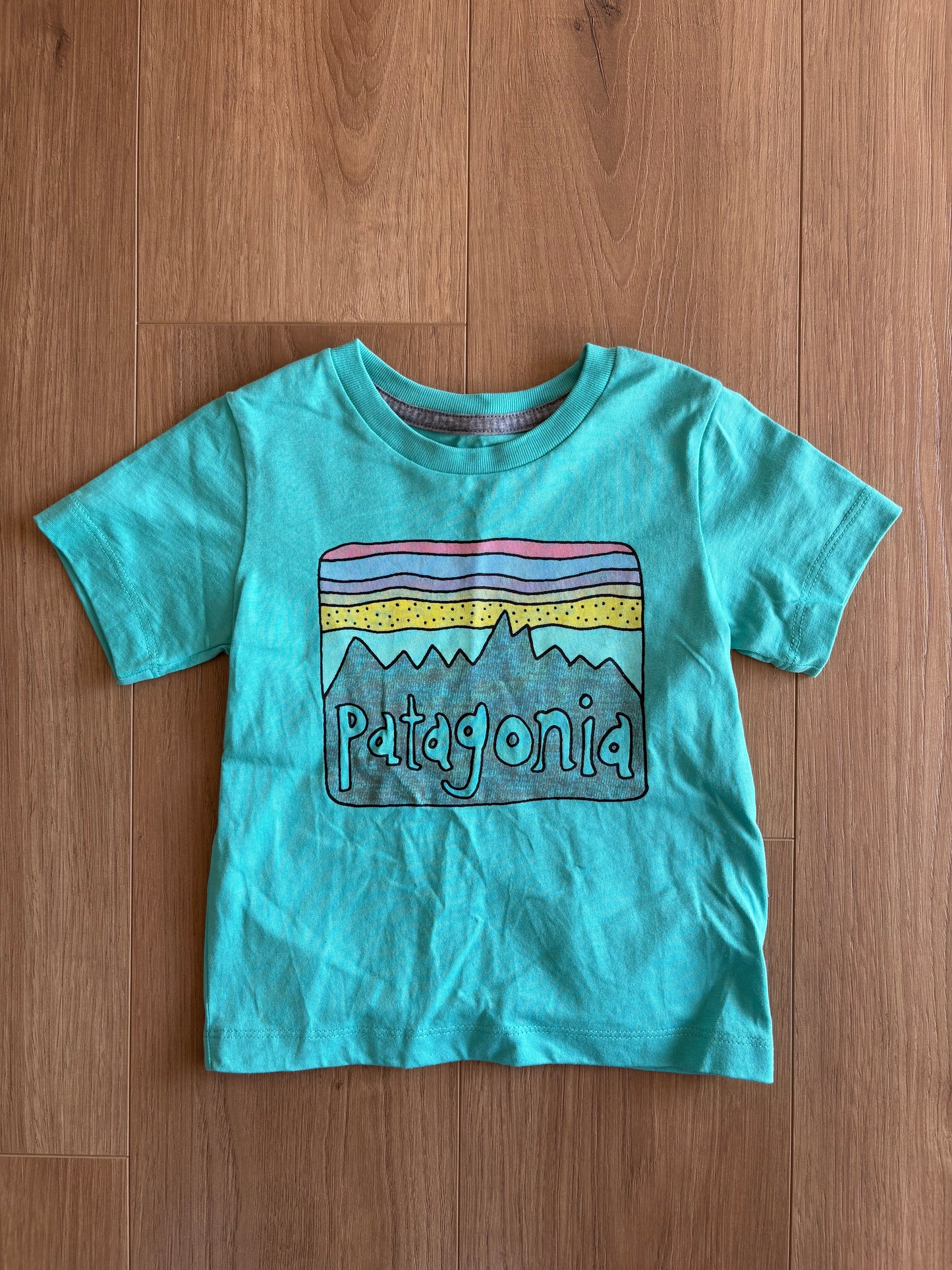 T-Shirt - Patagonia - 6/12 mois