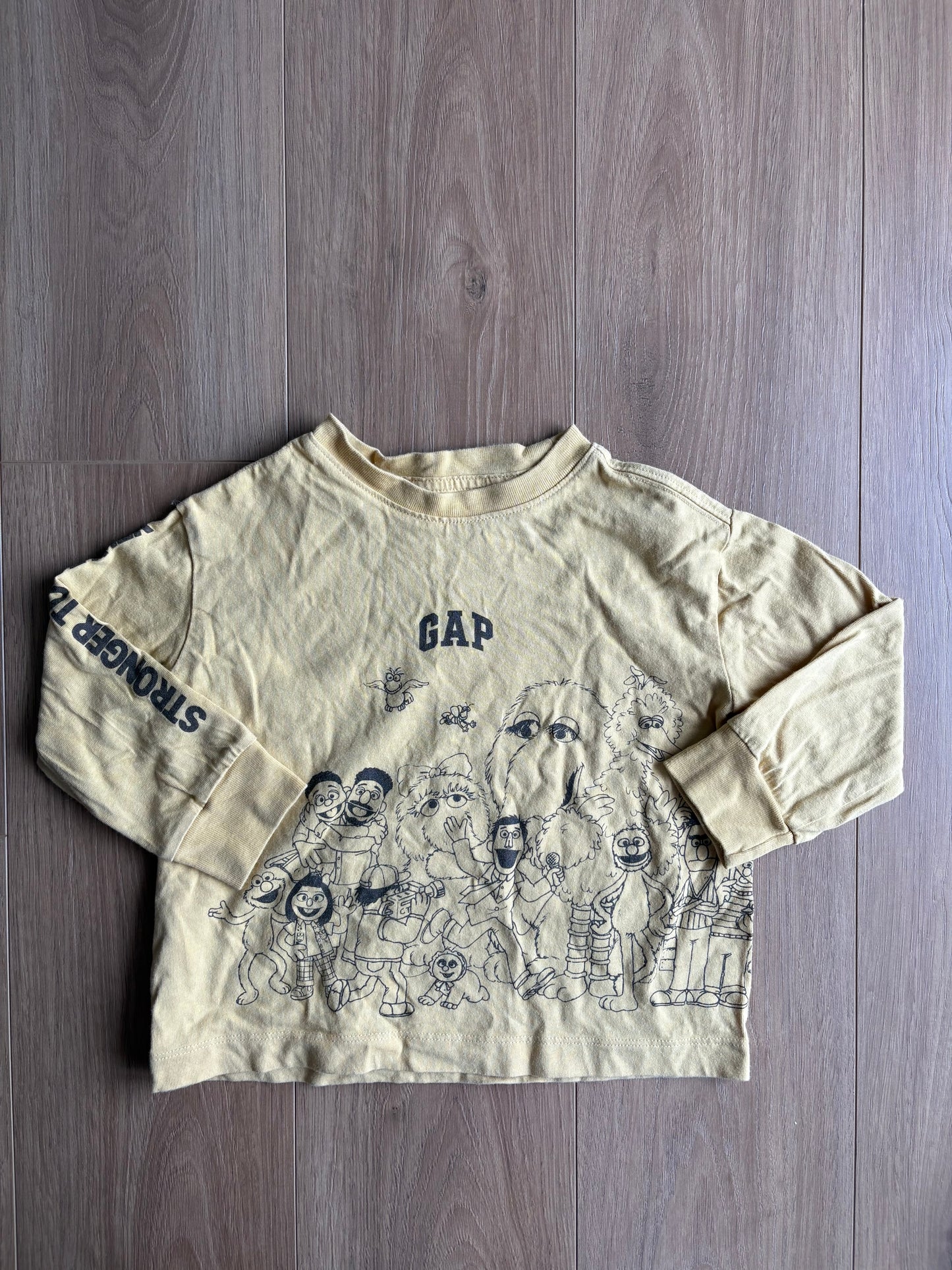 Chandail manches longues - Gap - 2 ans