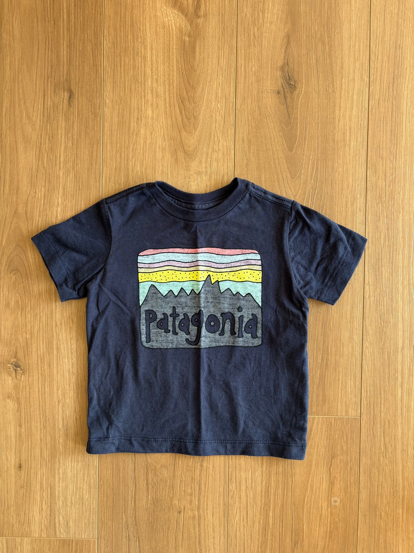 T-Shirt - Patagonia - 6/12 mois
