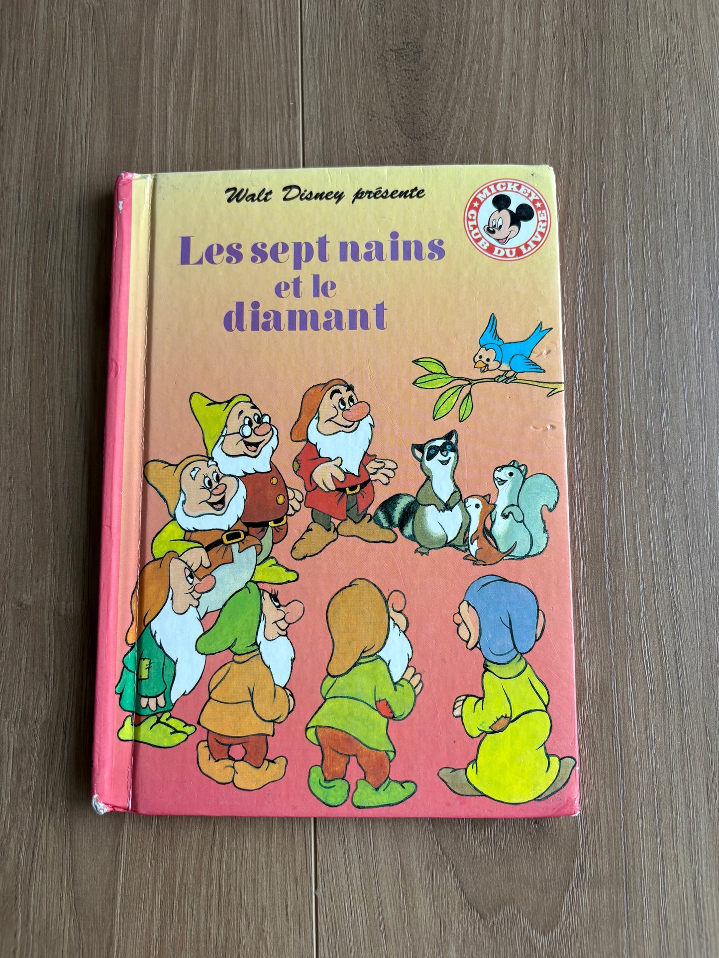 *Petite imperfection* Les septs nains et le diamant